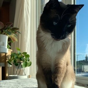 Meet your Posher, Kristen